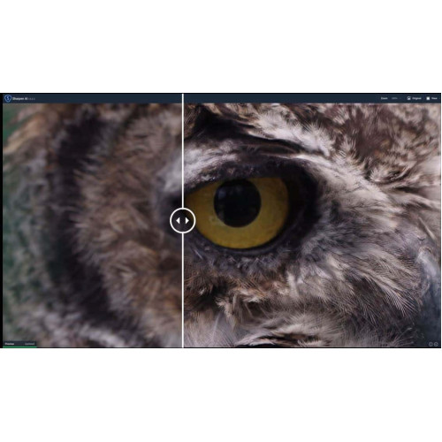 Установка Topaz Photo AI